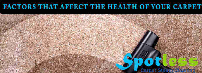 Health of your Carpet Cleaning 