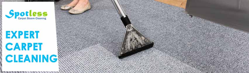 Expert Carpet Cleaners Team