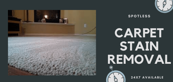 Expert Carpet Steam Cleaning