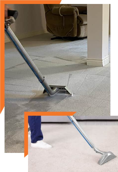 expert carpet cleaning melbourne